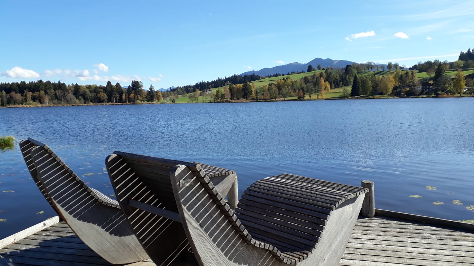 Köstliches Frühstück im Gästehaus Bergfrieden